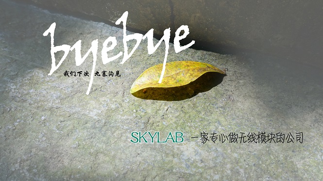 SKYLAB，一家做无线模块的公司